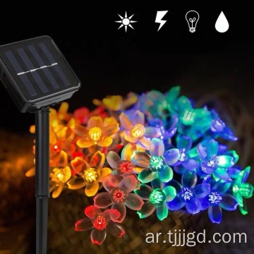 سلسلة ضوء زهر الكرز LED Solar